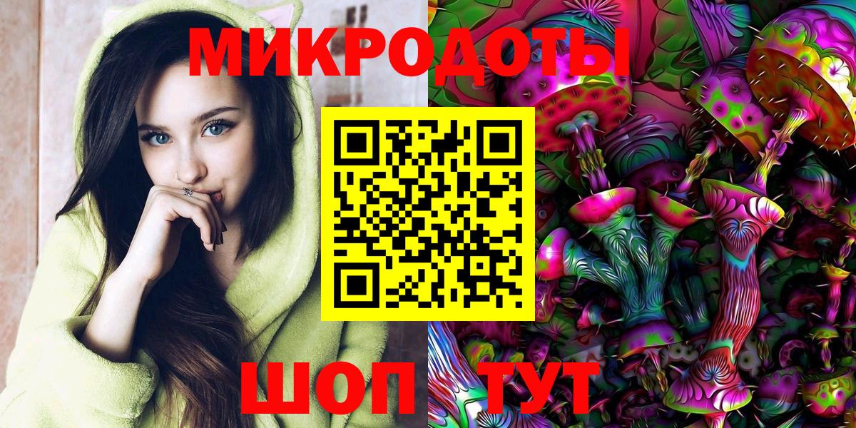 Галлюциногенные грибы Psilocybine cubensis Калининград