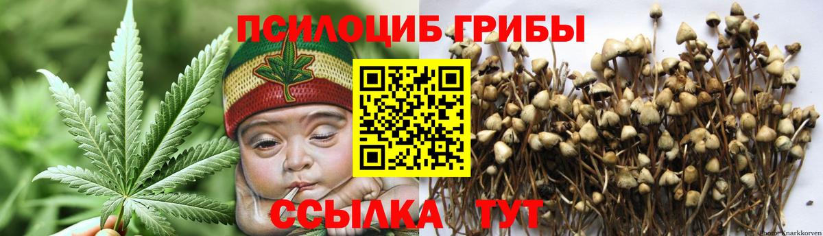 Калининград  Галлюциногенные грибы мицелий  Вход с VPN 